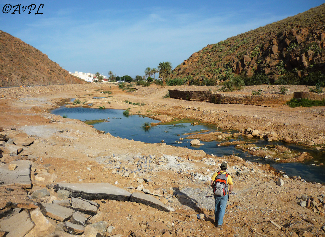 James Hicks, checking streams for amphibians, Morocco, Pelophylax habitat